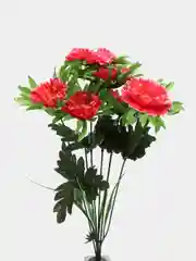 Коралловый искусственные декоративные цветы (гвоздика, маргаритка)