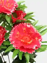 Коралловый искусственные декоративные цветы (гвоздика, маргаритка)