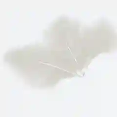Белый перья декоративные