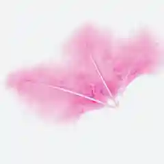 Конфетный перья декоративные