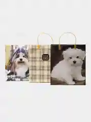 Пакет подарочный  мягкий пластик 260*230*100(набор из 3 шт)