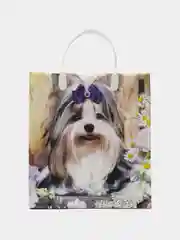 Пакет подарочный  мягкий пластик 260*230*100(набор из 3 шт)