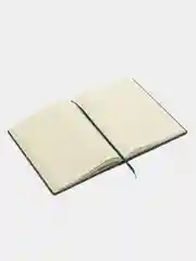 Ежедневник недатированный BRAUBERG Status, 210 х 297 мм, А4, 160 л, темно-синий