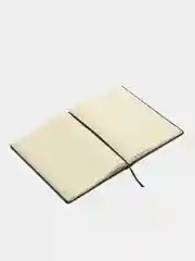 Ежедневник недатированный BRAUBERG Status, 210 х 297 мм, А4, 160 л, черный