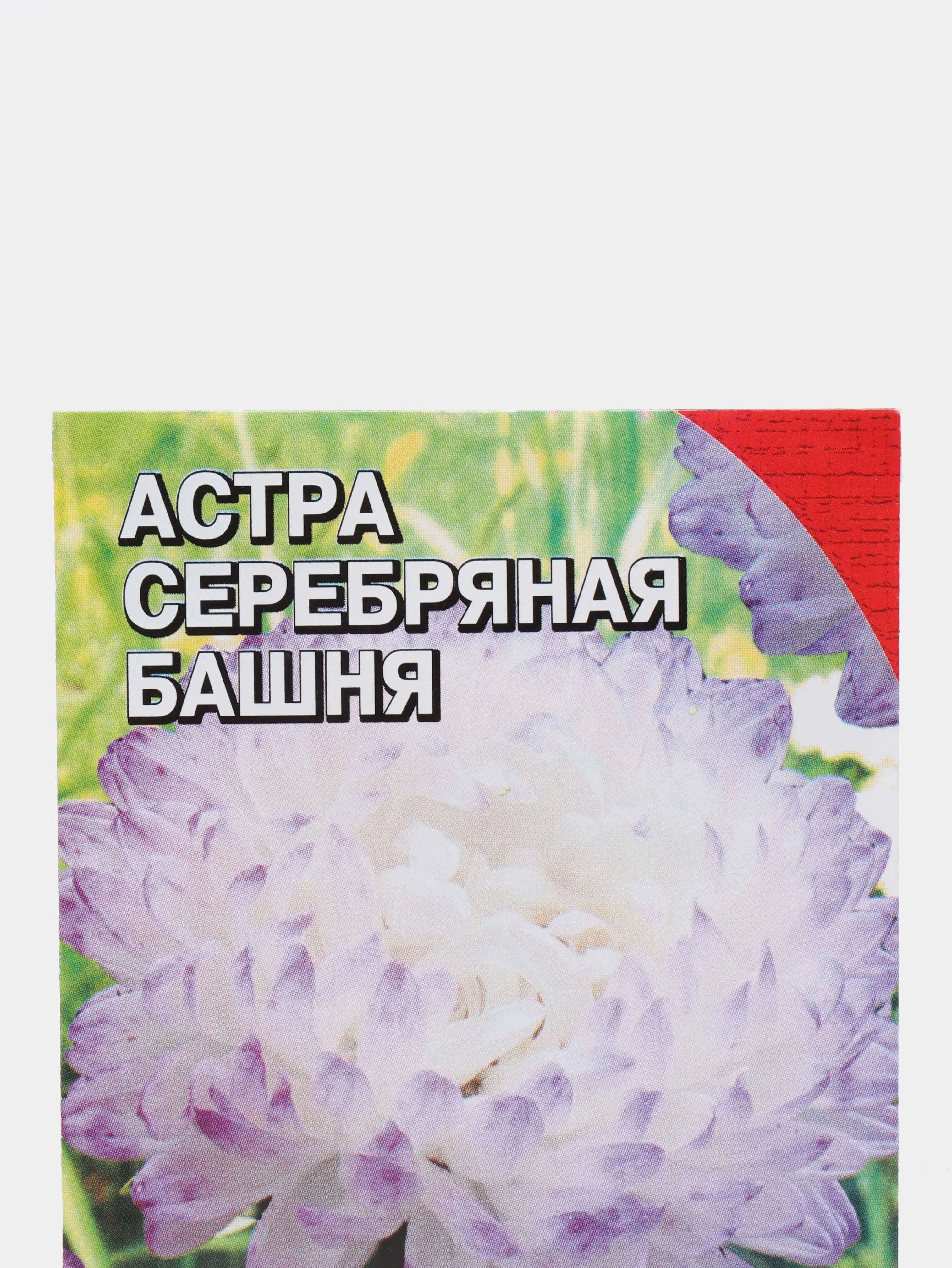 Семена цветов Астра пионовидная "Серебрянная башня", 0.2 г