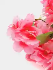 Тёмно-розовый сакура. Искусственная лиана для декора. искусственные цветы