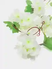 Белый сакура. Искусственная лиана для декора. искусственные цветы