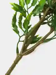 Зеленый искусственные цветы "Гортензия", для декора