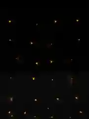 Гирлянда-штора, размер 2,5*2, разные цвета