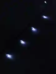 Белый гирлянда светодиодная, 10, 20 м., 220 В