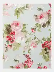 Мятный штора интерьерная, хлопок, 1 штука, 200 х 270 см