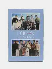 Зеленый карточки Stray Kids 55шт