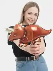 Воздушные шары "Динозаврики", 40 см, 3 вида