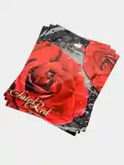 Красный пакет подарочный, ламинированный/ 37 x 46 см/Набор из 3,5 штук/Пакет на все случаи жизни
