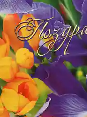 Фиолетовый пакет подарочный, ламинированный/ 37 x 46 см/Набор из 3,5 штук/Пакет на все случаи жизни