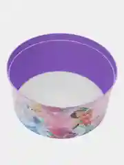 Фиолетовый контейнер для хранения