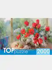 Пазлы, 2000 элементов