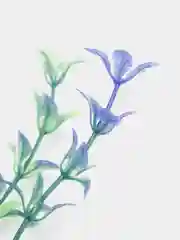 Ледяной растения искусственные, декоративные, для маленького аквариума, от 5 до 13 см, 43 вида