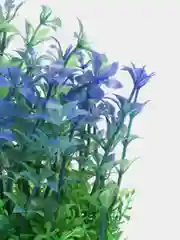 Ледяной растения искусственные, декоративные, для маленького аквариума, от 5 до 13 см, 43 вида