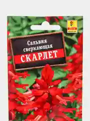 Сальвия Скарлет, 0,1г/Аэлита