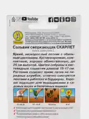 Сальвия Скарлет, 0,1г/Аэлита