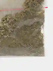 Мята кошачья 3гр в когтеточку