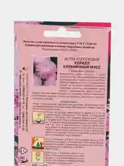 Семена Астра "Коралл клубничный мусс"