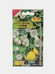 Семена айвы "Райское дерево"