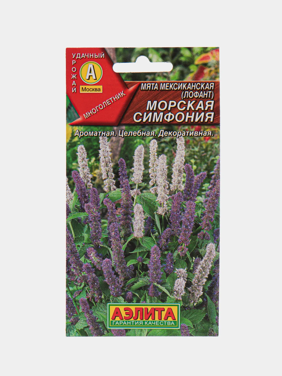 Семена Мята мексиканская "Морская симфония", АЭлита