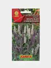 Семена Мята мексиканская "Морская симфония", АЭлита