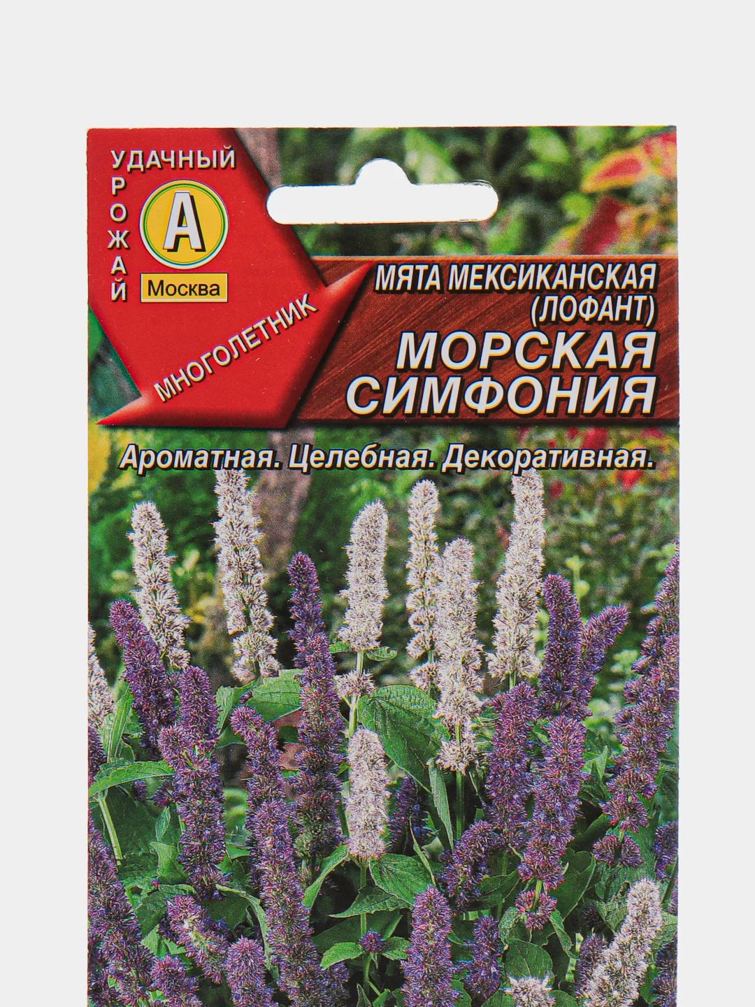 Семена Мята мексиканская "Морская симфония", АЭлита