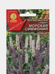 Семена Мята мексиканская "Морская симфония", АЭлита