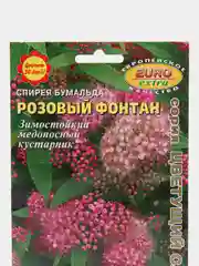 Семена цветов Спирея Розовый фонтан