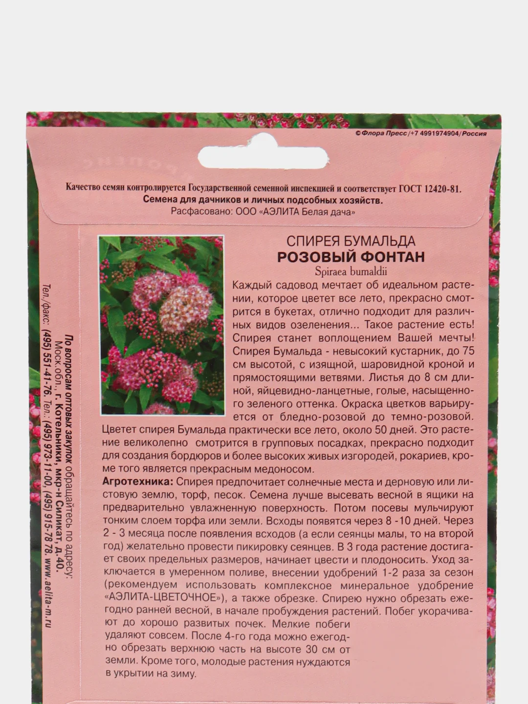 Семена цветов Спирея Розовый фонтан