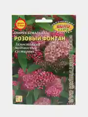 Семена цветов Спирея Розовый фонтан