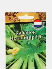 Кабачок "Искандер"