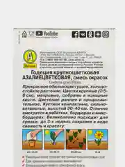 Годеция Азалиецветковая смесь, Аэлита