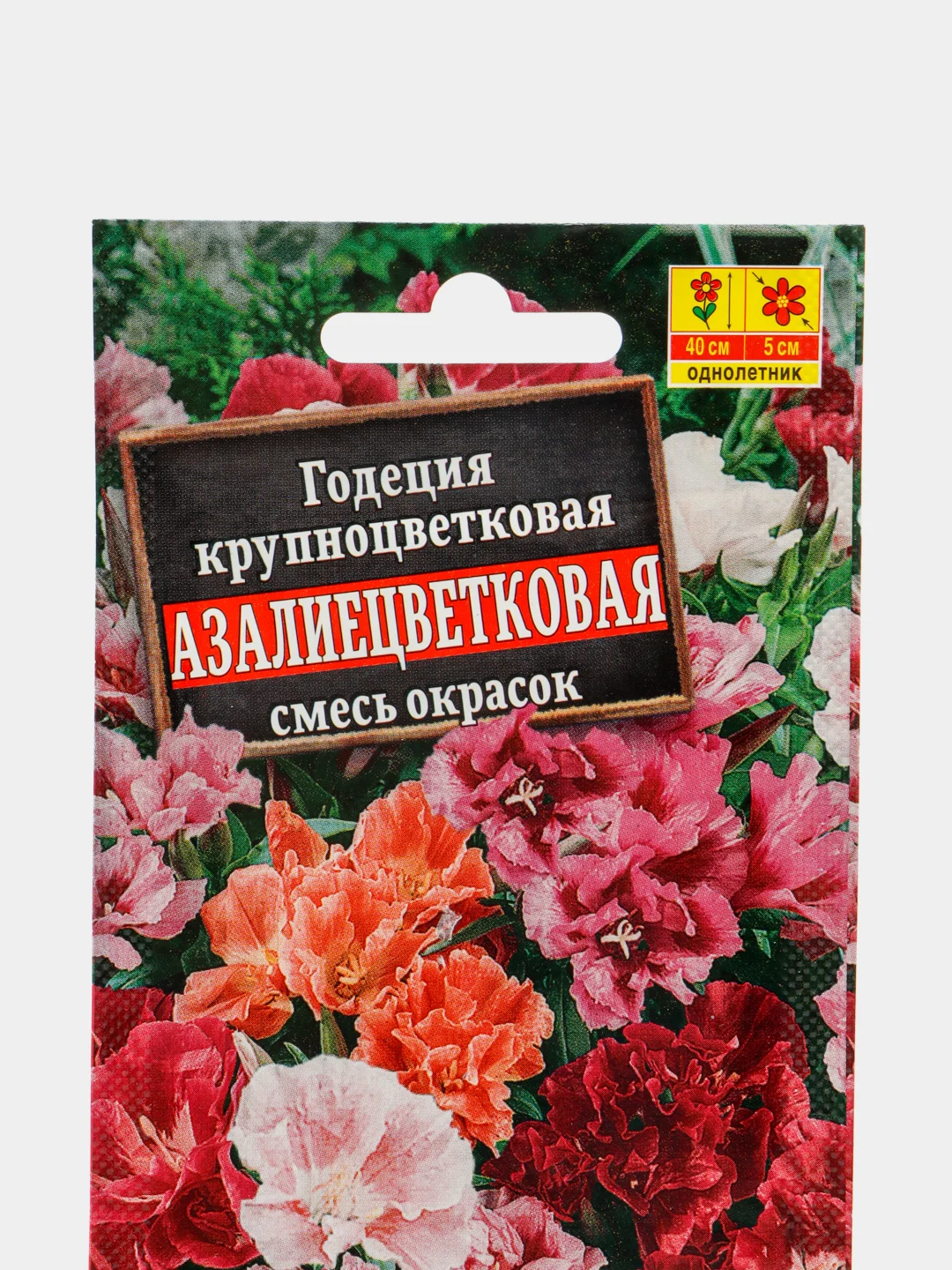 Годеция Азалиецветковая смесь, Аэлита