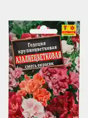 Годеция Азалиецветковая смесь, Аэлита
