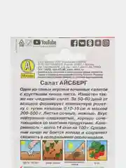 Салат АЭлита "Айсберг кочанный"