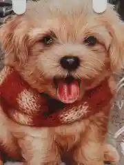 Коралловый меланж пакет подарочный/Мягкий пластик/Оригинальный,прочный пакет на каждый день