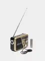 Золотой радио с фонарем 521 и mp3-плеером, AM/FM, USB, SD