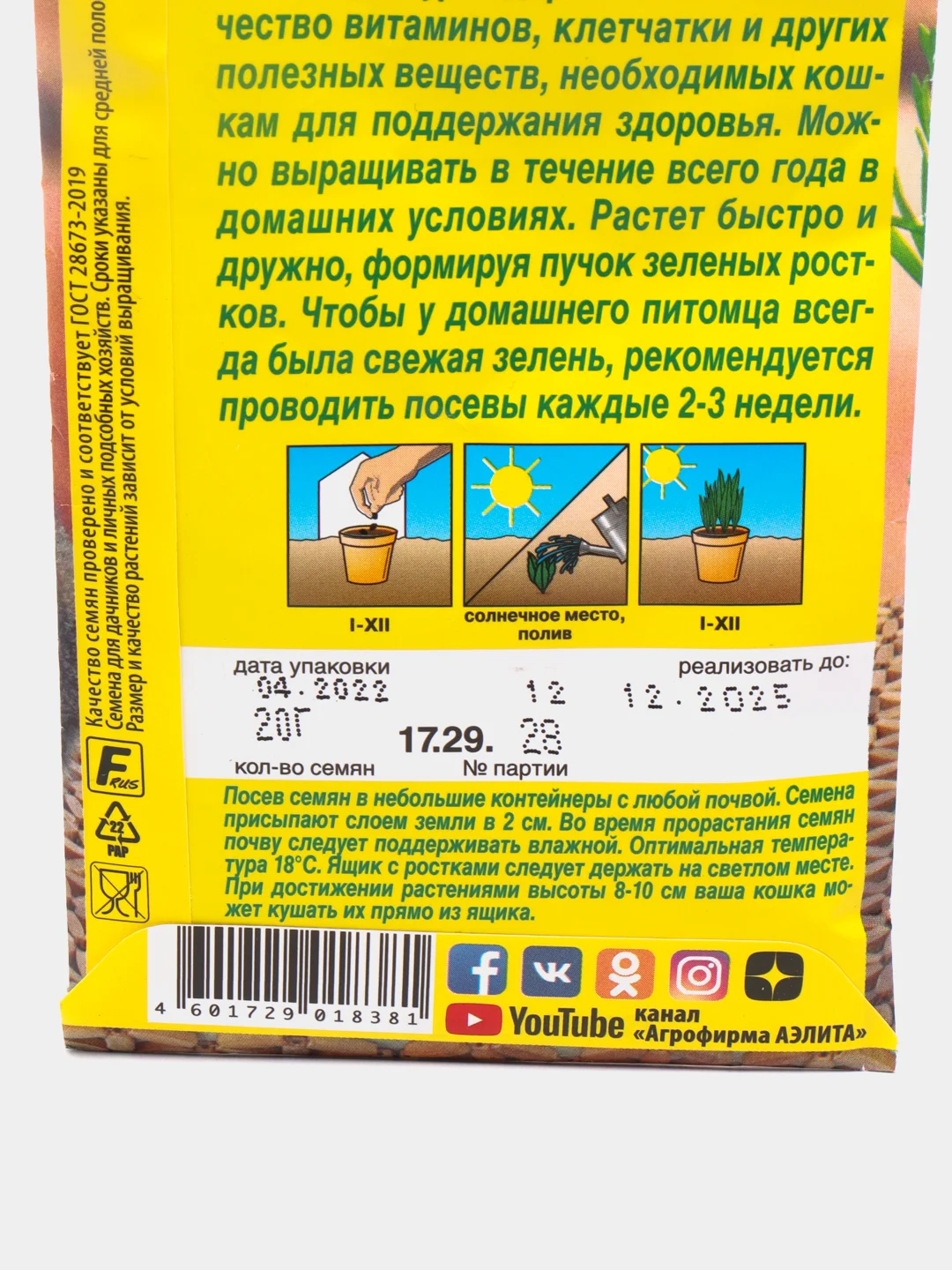 Семена "Трава для кошек"