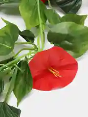 Красный искусственные цветы: лиана, лоза цветущая, петуния