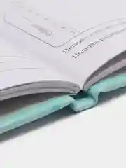 Дневник 1-4 класс 48л, кожзам (твердая), печать, аппликация, ЮНЛАНДИЯ, Зайчик, 106198