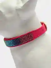 Конфетный ошейник для собак и кошек, со стразами