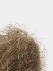 Лён сантехнический