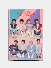 Пурпурный k-pop карты StrayKids (Стрей Кидс) игральные