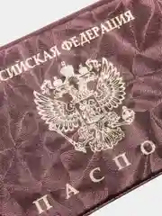 Коричневый обложка для паспорта