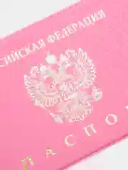 Красный обложка для паспорта